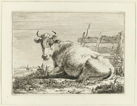 Sujets d'animaux, image 1/1