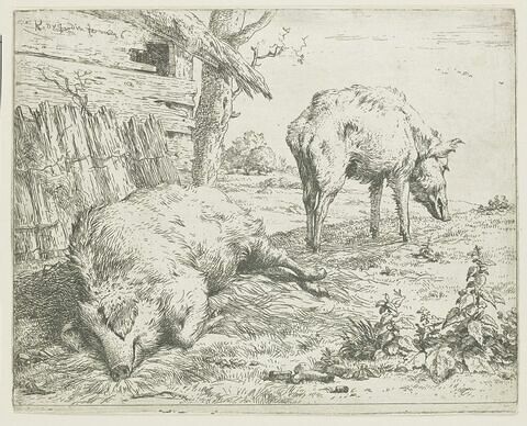 Les deux cochons, image 1/1