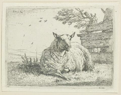 Le mouton couché près de la haie de planches, image 1/1