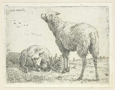 Les deux moutons, image 1/1