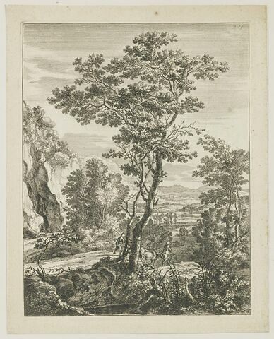 Le grand arbre, image 1/1