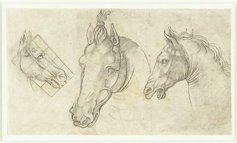 Trois têtes de chevaux
