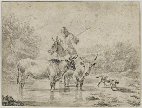Deux boeufs et un berger sur un âne qui passe au gué