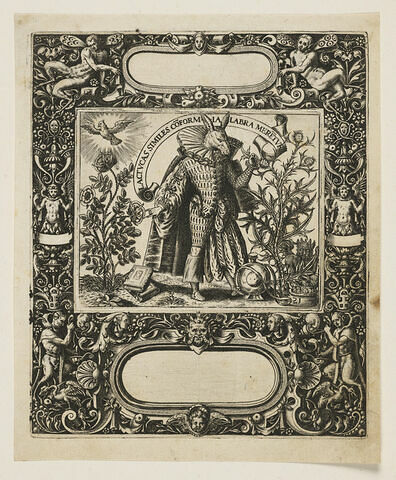 Lactucas similes conformia, image 1/1