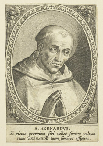 Saint Bernard, image 1/1