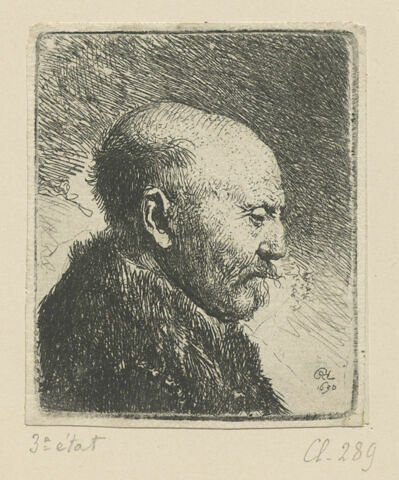 Tête d'homme chauve