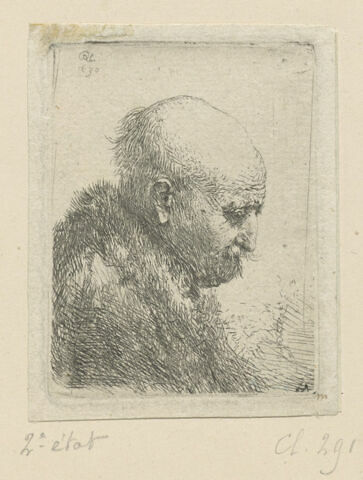 Vieillard chauve à couronne de cheveux gris, image 1/1