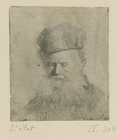 Vieillard à grande barbe, image 1/1