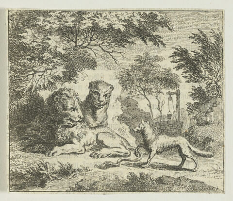 Sujets d'animaux