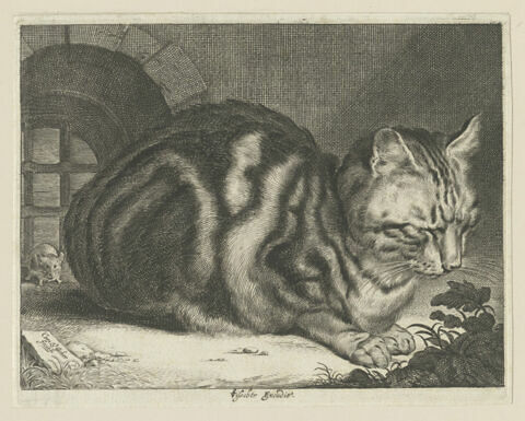 Le chat dormant