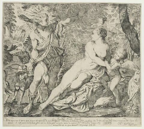 Vénus et  Adonis