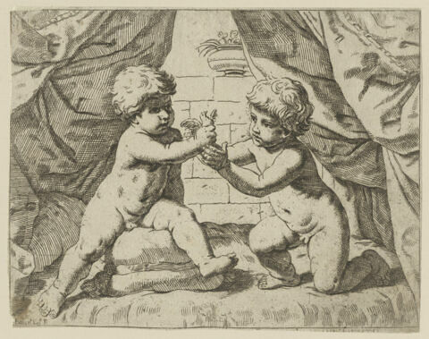 Deux enfants jouant avec un oiseau, image 1/1