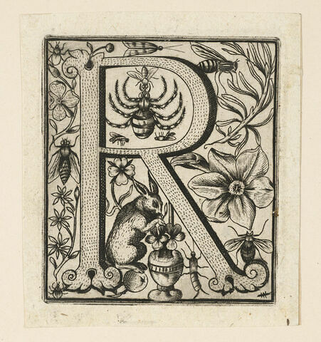 Le petit alphabet : lettre R, image 1/1