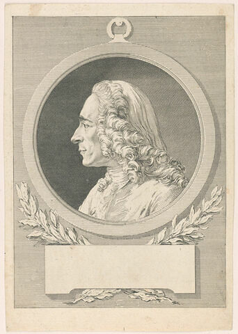 Voltaire, image 1/1