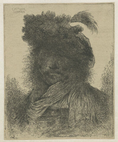 Tête barbue de face dans l'ombre, image 1/1