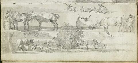 Etudes d'animaux, image 1/1