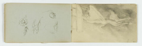 Croquis de feuilles et de fleurs, image 1/1