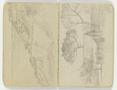 Maison parmi les arbres et les pins parasols, image 1/1