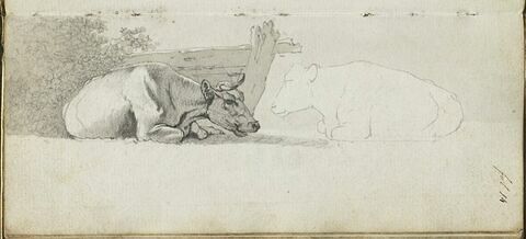 Etude d'animaux, image 1/1