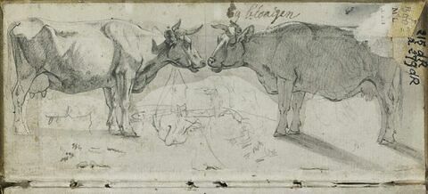 Etude d'animaux, image 1/1