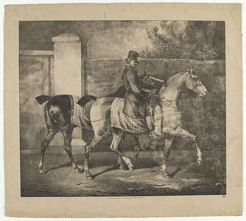 Deux chevaux promenés par un jockey, image 1/1