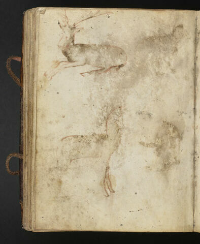 Cerf élaphe ; un chien (?) de profil vers la droite ; un artiodactyle indéterminé de profil vers la droite ; un singe (?) de profil vers la gauche, en partie effacé, image 1/1