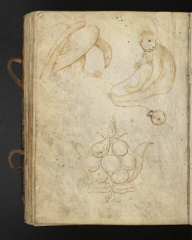 Aigle posé de profil vers la droite ; singe assis, attaché à un poids ; un bijou en forme de cosse ouverte, image 1/1
