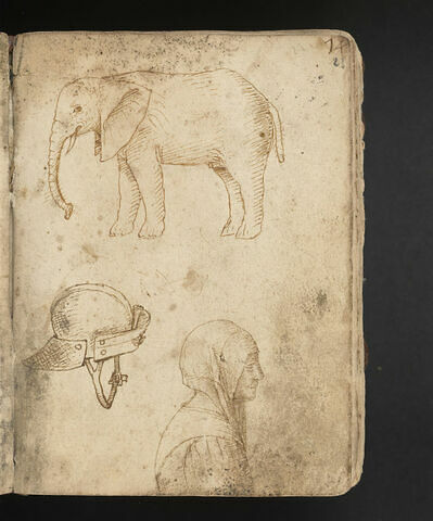 Éléphant d'Afrique ; casque de profil vers la droite ; vieille femme, coiffée d'un voile, vue de profil vers la droite ; essais de plume