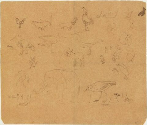 Silhouettes d'animaux divers (éléphant, coq, bécasse, âne, biche, pingouin)