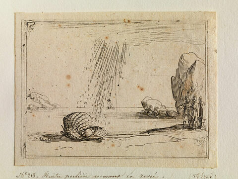 Huitre perlière reçevant la rosée, image 1/1