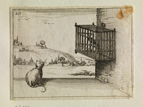 Le chat guettant l'oiseau en cage