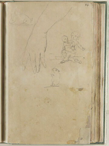 Etudes d'une main gauche, de deux enfants nus, d'un lièvre et d'un hamster, image 1/1