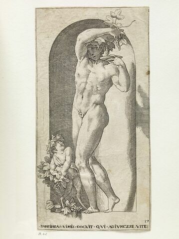 Bacchus, image 1/1