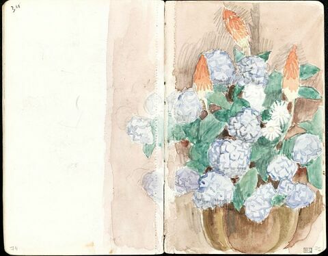 Bouquet de fleurs avec hortensias