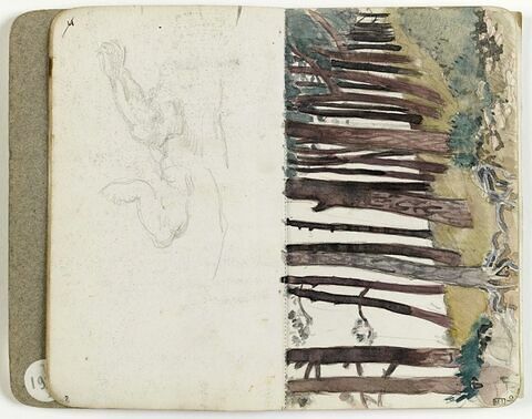 Paysage boisé, image 1/1
