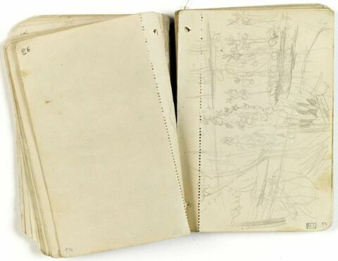 Croquis de fleur et de végétation, image 1/1