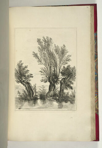 Trois saules au bord de l'eau, image 1/1