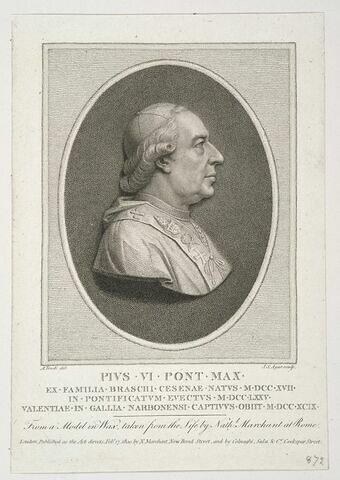 Pius VI Pontifex Maximus