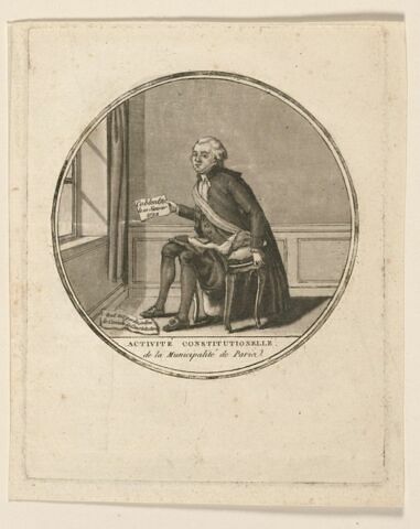 Activité constitutionnelle, image 1/1