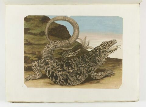 Sauvegarde des aristocrates, image 1/1