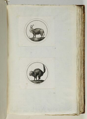 Caricature de Louis XVI, image 2/2
