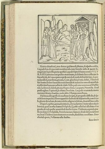 Poliphile avec Theude, Parthénia, Eudosia, Hypocolinia, Pinotidia, Papinosa et Ptochina