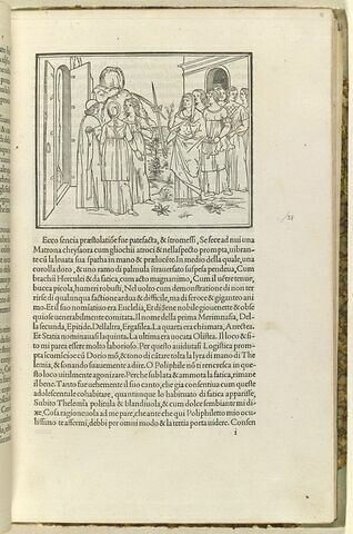 Poliphile avec Euclelia, Merimnasia, Epitide, Ergasilea, Anectea, Olistea, Thélemia et Logistisca