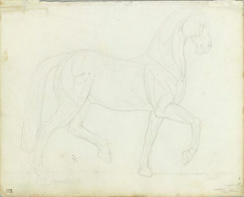 Cheval, image 1/1
