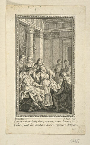 Caesar et ipsa Soror flent, stupent, vate legente ; Quam juvat modulis horum renovare dolorem, image 1/1