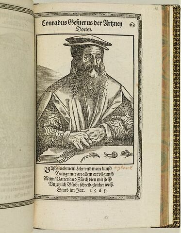 Conradus Gesnerus der Arzney Doctor., image 1/1
