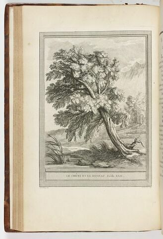 Le chêne et le roseau. Fable XXII, image 1/1