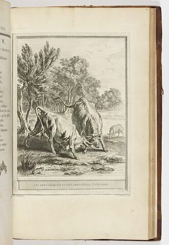Les deux taureaux et une grenouille. Fable XXVI, image 1/1
