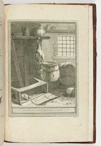 Le chat et un vieux rat. Fable LX. 2e planche, image 1/1