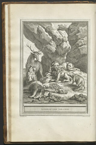 La cour du lion, image 1/1